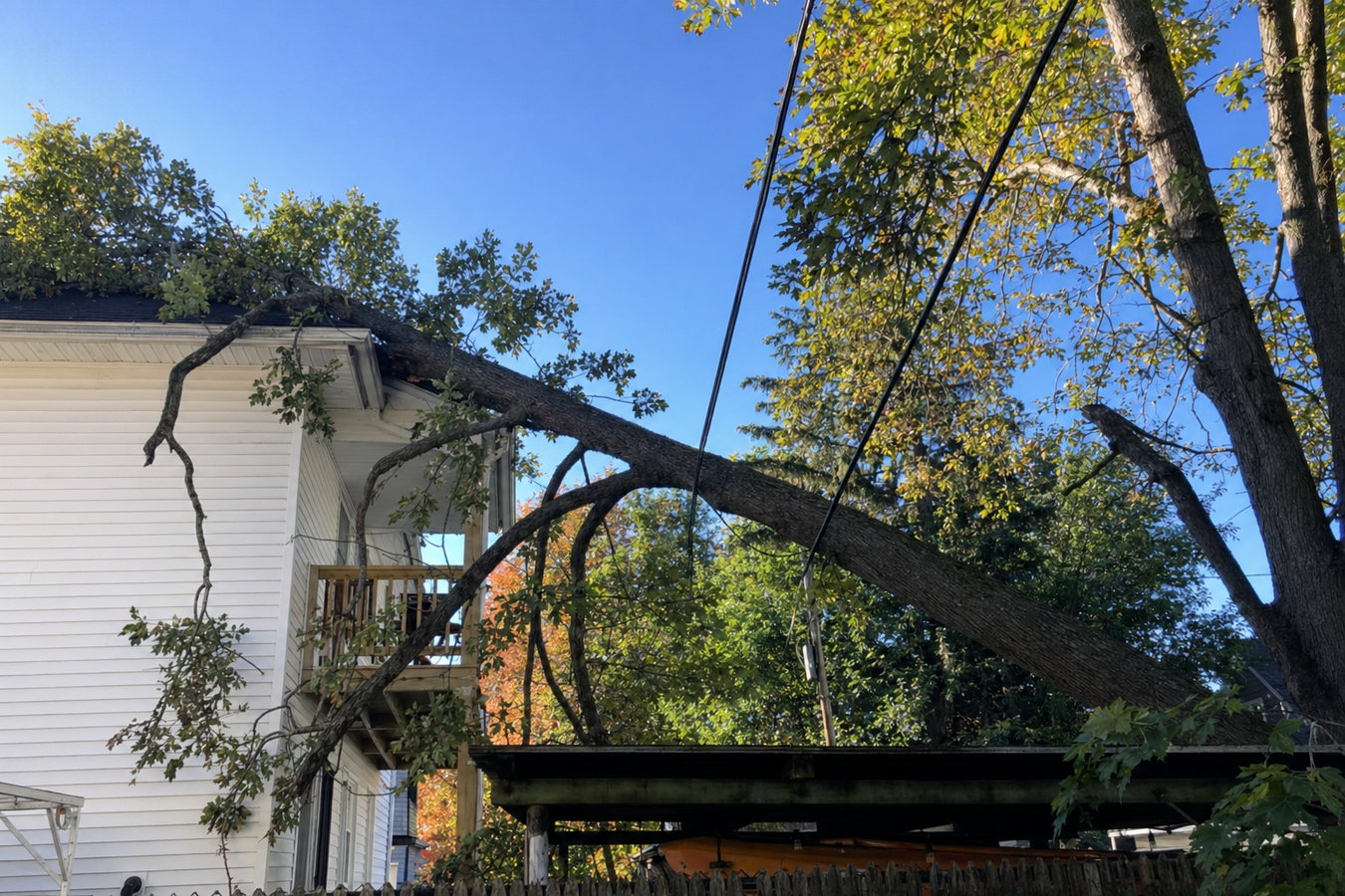 Emergency tree service in Dixon, CA